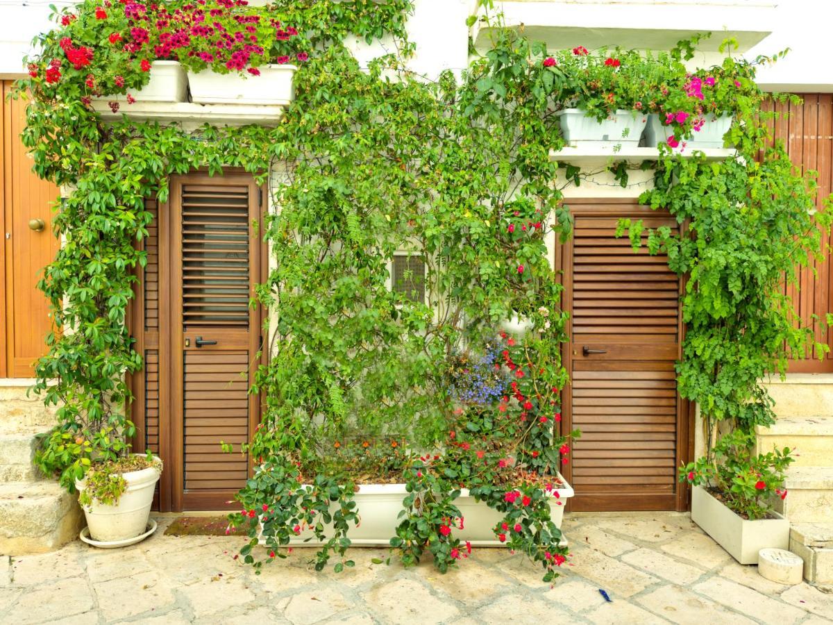 Youse - Your House In Locorotondo Apartment Exterior photo